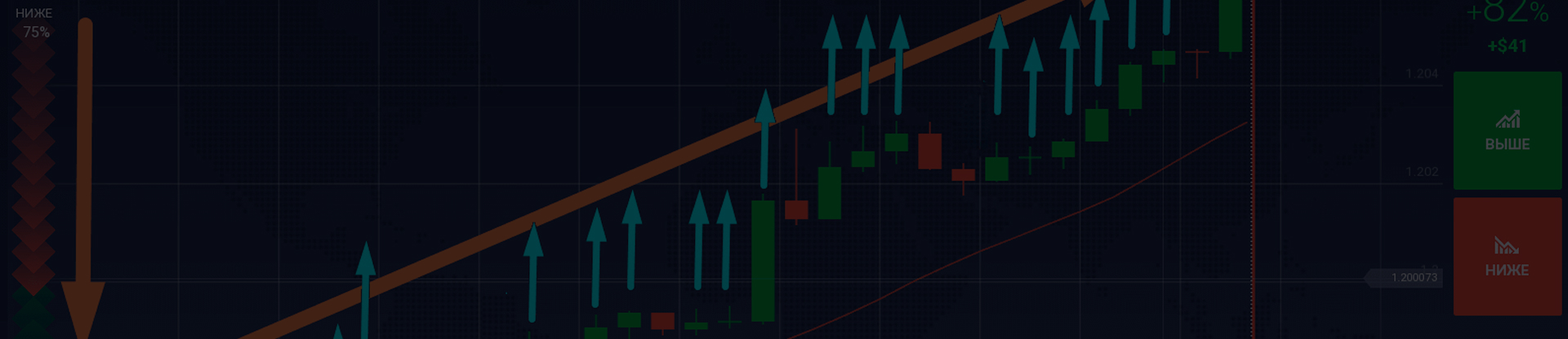 Как вывести деньги с Bybit